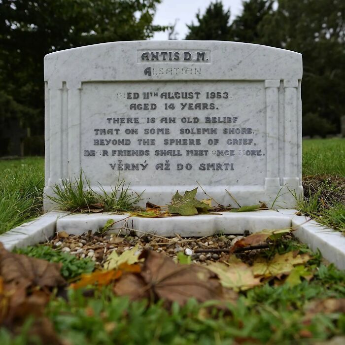 This Instagram Account Shows Us What Pet Cemeteries Tell Us About Human Emotions (23 Pics)