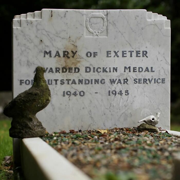 This Instagram Account Shows Us What Pet Cemeteries Tell Us About Human Emotions (23 Pics)