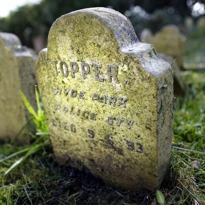 This Instagram Account Shows Us What Pet Cemeteries Tell Us About Human Emotions (23 Pics)