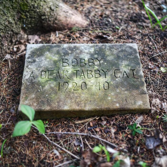 This Instagram Account Shows Us What Pet Cemeteries Tell Us About Human Emotions (23 Pics)