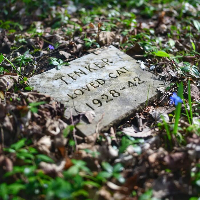 This Instagram Account Shows Us What Pet Cemeteries Tell Us About Human Emotions (23 Pics)