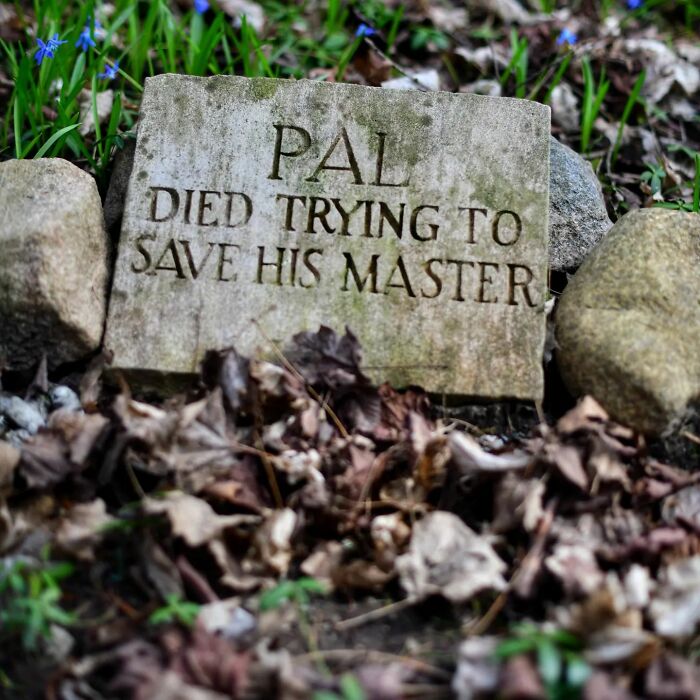 This Instagram Account Shows Us What Pet Cemeteries Tell Us About Human Emotions (23 Pics)