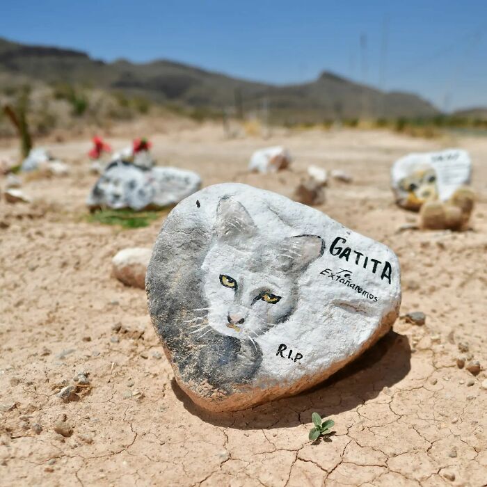 This Instagram Account Shows Us What Pet Cemeteries Tell Us About Human Emotions (23 Pics)