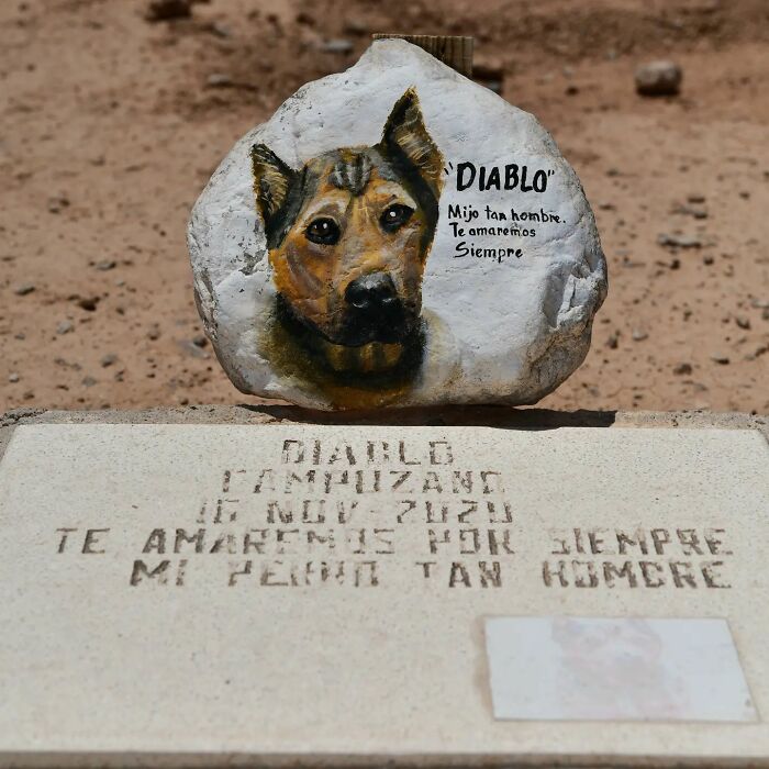 This Instagram Account Shows Us What Pet Cemeteries Tell Us About Human Emotions (23 Pics)