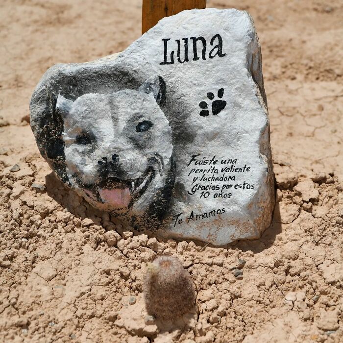 This Instagram Account Shows Us What Pet Cemeteries Tell Us About Human Emotions (23 Pics)