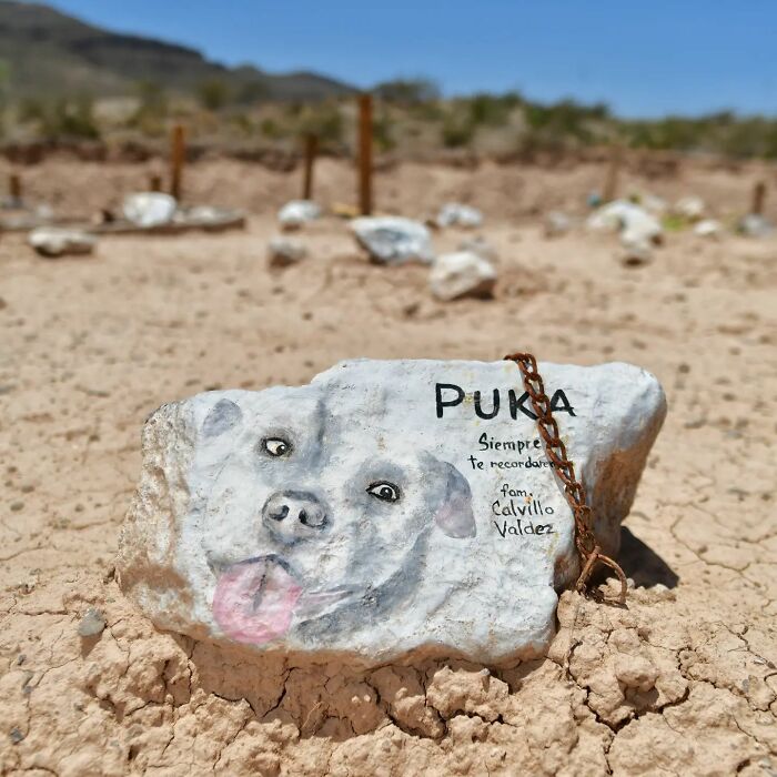 This Instagram Account Shows Us What Pet Cemeteries Tell Us About Human Emotions (23 Pics)