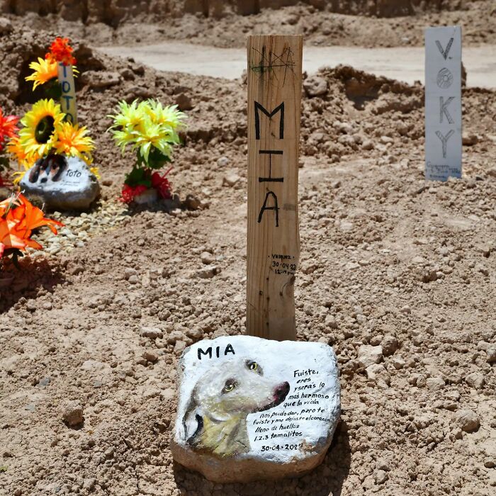 This Instagram Account Shows Us What Pet Cemeteries Tell Us About Human Emotions (23 Pics)