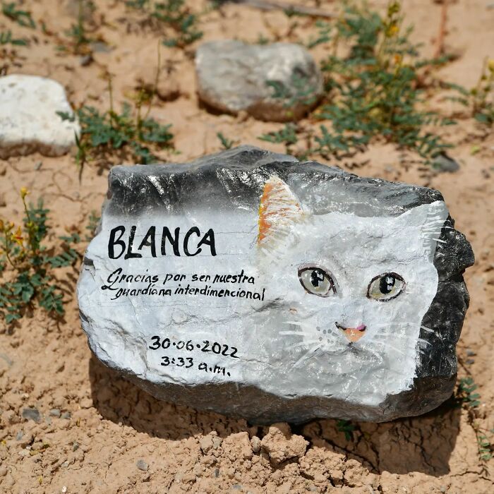 This Instagram Account Shows Us What Pet Cemeteries Tell Us About Human Emotions (23 Pics)