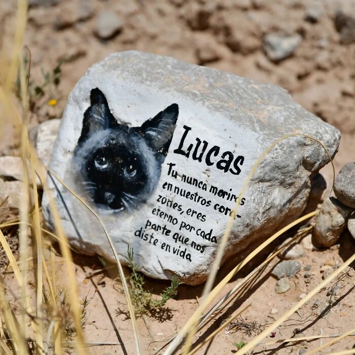 This Instagram Account Shows Us What Pet Cemeteries Tell Us About Human Emotions (23 Pics)