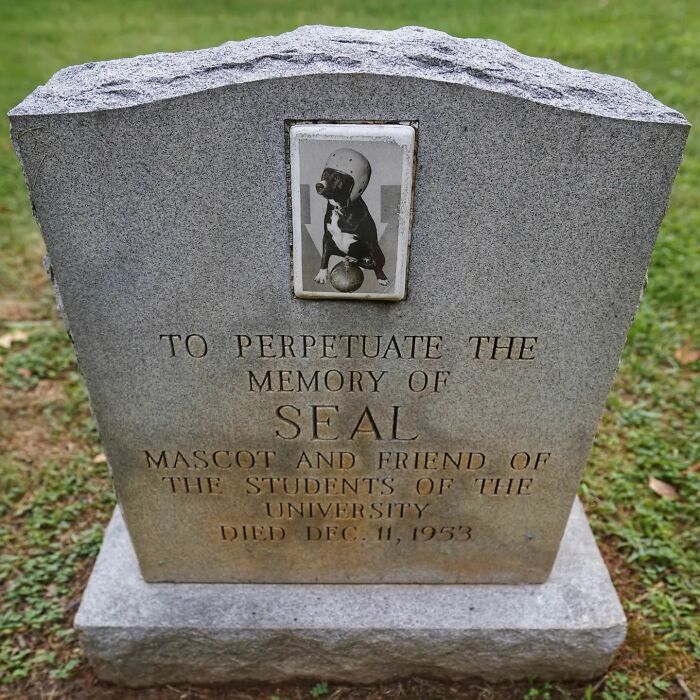 This Instagram Account Shows Us What Pet Cemeteries Tell Us About Human Emotions (23 Pics)