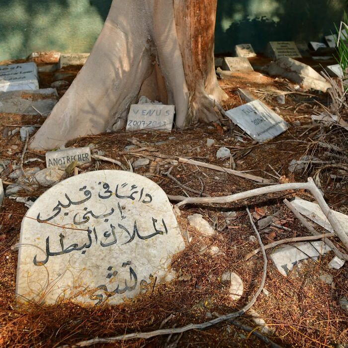 This Instagram Account Shows Us What Pet Cemeteries Tell Us About Human Emotions (23 Pics)