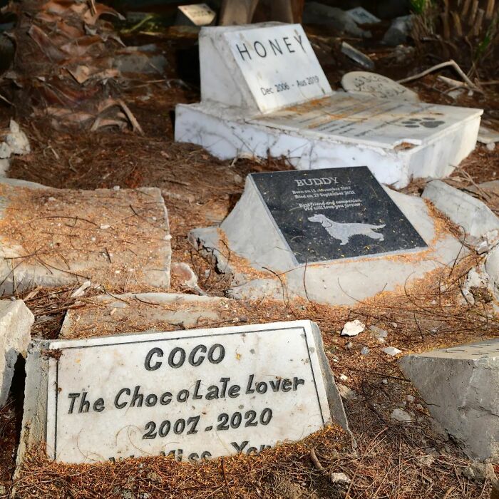 This Instagram Account Shows Us What Pet Cemeteries Tell Us About Human Emotions (23 Pics)