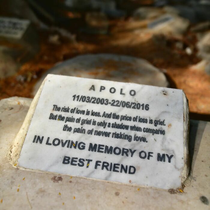 This Instagram Account Shows Us What Pet Cemeteries Tell Us About Human Emotions (23 Pics)