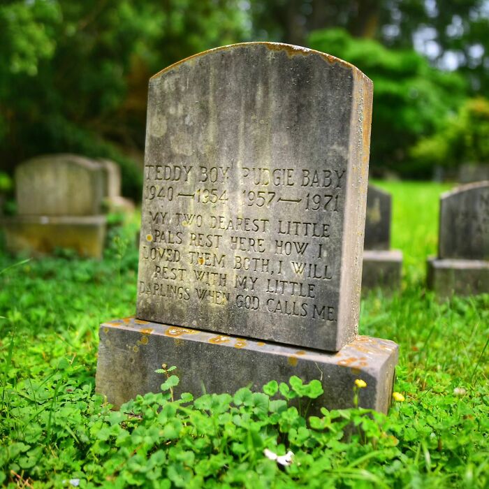 This Instagram Account Shows Us What Pet Cemeteries Tell Us About Human Emotions (23 Pics)