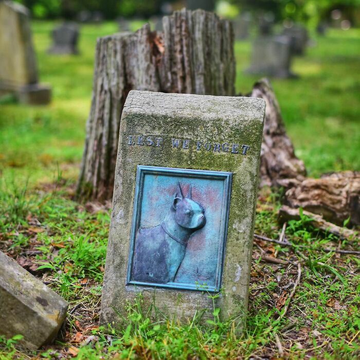 This Instagram Account Shows Us What Pet Cemeteries Tell Us About Human Emotions (23 Pics)