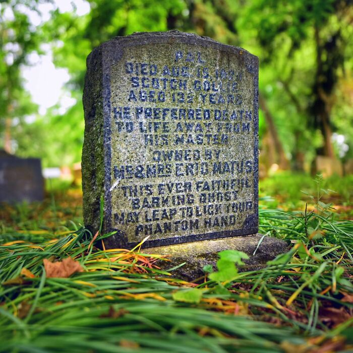 This Instagram Account Shows Us What Pet Cemeteries Tell Us About Human Emotions (23 Pics)