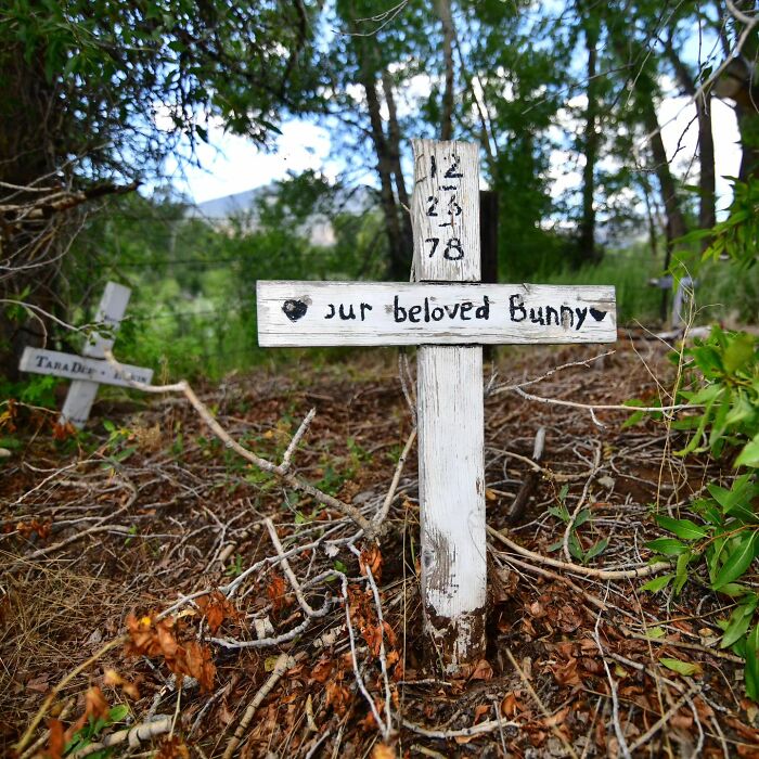 This Instagram Account Shows Us What Pet Cemeteries Tell Us About Human Emotions (23 Pics)