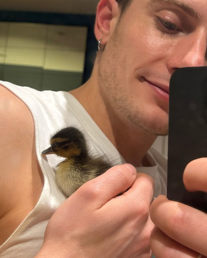 This Man Saved A Lost Duck Egg And Hatched A New Friendship