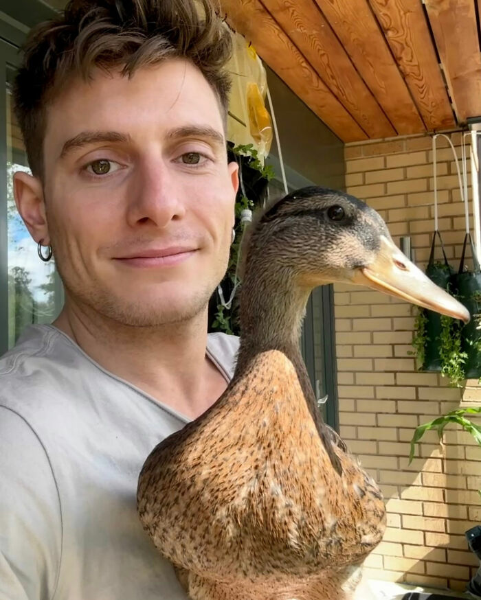 This Man Saved A Lost Duck Egg And Hatched A New Friendship