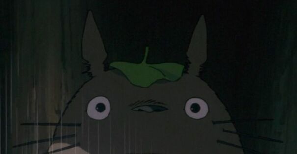 Totoro-67175b17a265e.jpg