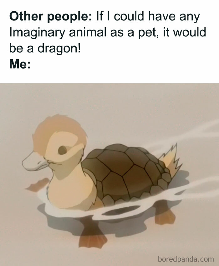 A turtle meme showing a hybrid animal with a duck's head and a turtle shell. The text above reads, "Other people: If I could have any imaginary animal as a pet, it would be a dragon! Me:"