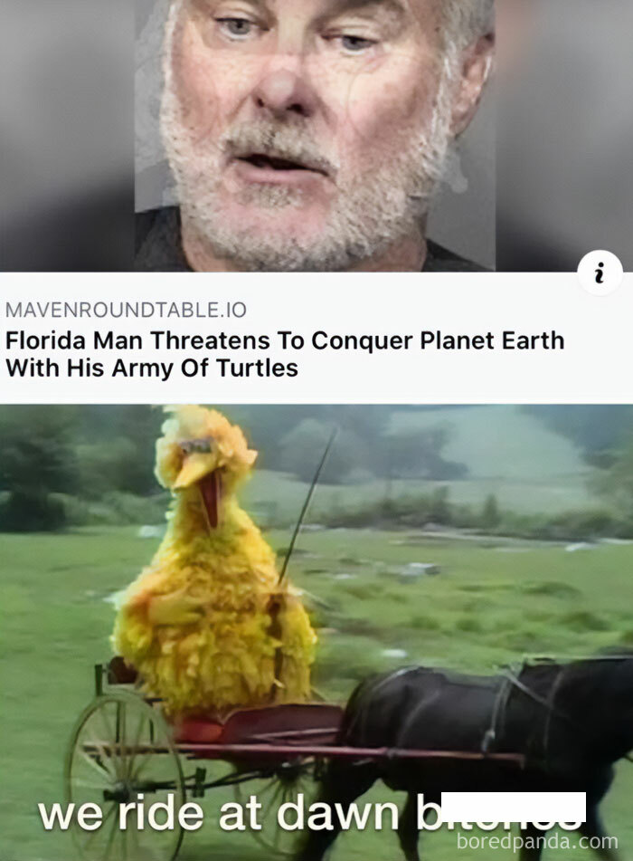  A turtle meme featuring a news headline, "Florida Man Threatens To Conquer Planet Earth With His Army Of Turtles," paired with Big Bird riding a cart saying, "we ride at dawn."