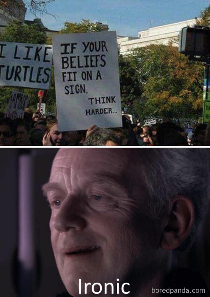 A turtle meme showing a protest sign that reads, "If your beliefs fit on a sign, think harder..." next to a sign saying "I like turtles," with the text "Ironic."