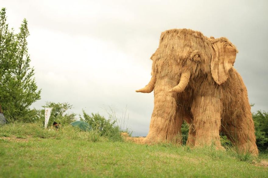 Harvest To Harmony: Meet 42 Stunning Artworks From Niigata's Enchanting Rice Straw Festival