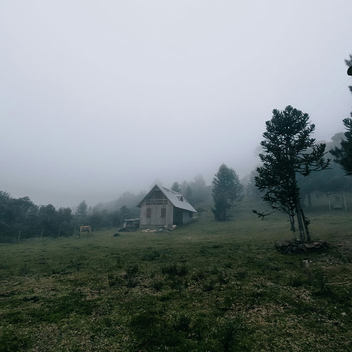 TikToker Shares Haunting Experience After Ignoring Warning About Whistling At Night