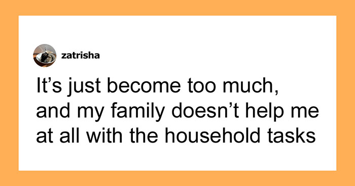 Hey Pandas, AITA For Expecting My Family To Help More When Our House Is In Chaos?