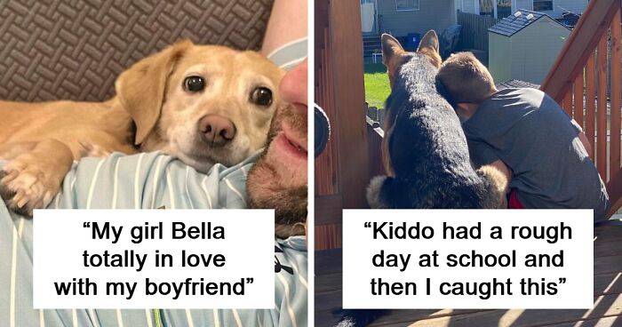 115 Wholesome Photos That Prove We Don’t Deserve Animals (New Pics)