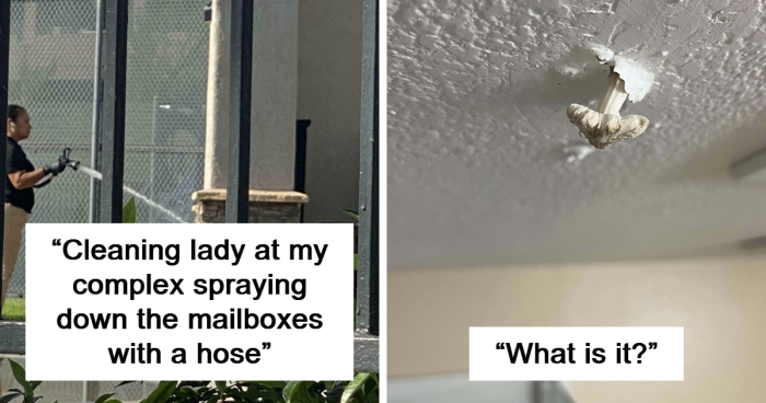 People Who Live In Apartments Give Us A Glimpse Of What They Have To Go Through (47 Pics)