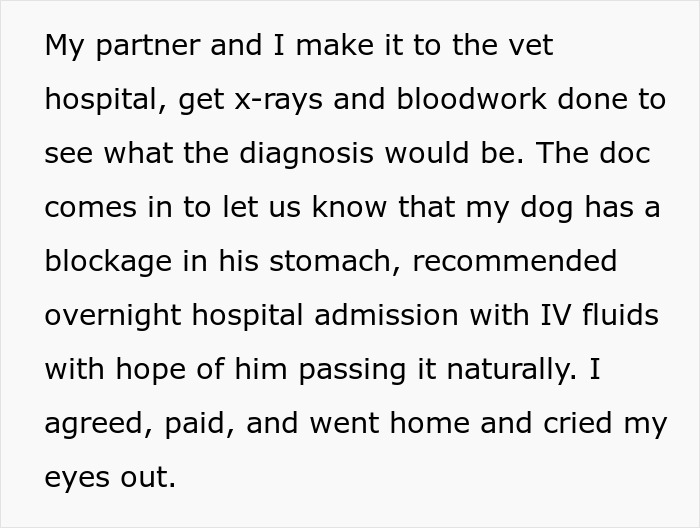 Guy Almost Lets His Kids’ Dog Die Out Of Carelessness, Clueless Why The Kids Suddenly Hate Him 