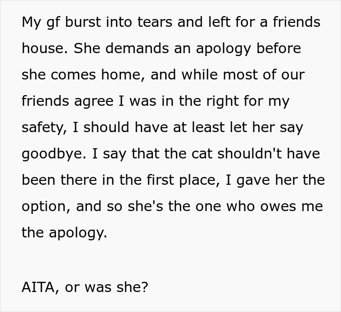 GF Wants A Pet, BF Says Anything But A Cat Is Fine, She Buys A Kitten Anyway, BF Breaks Up With Her