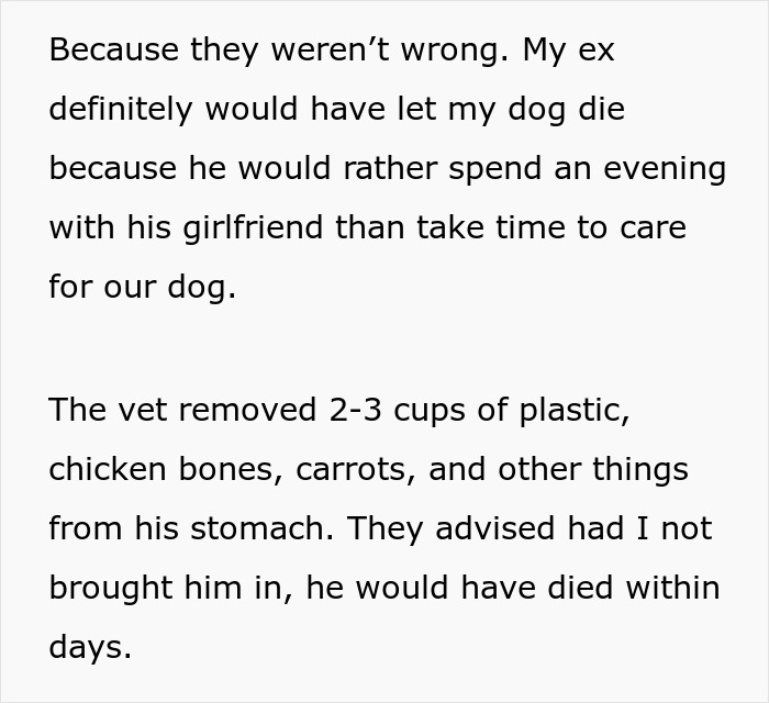 Guy Almost Lets His Kids’ Dog Die Out Of Carelessness, Clueless Why The Kids Suddenly Hate Him 