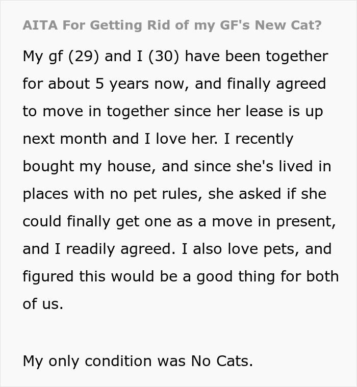 GF Wants A Pet, BF Says Anything But A Cat Is Fine, She Buys A Kitten Anyway, BF Breaks Up With Her