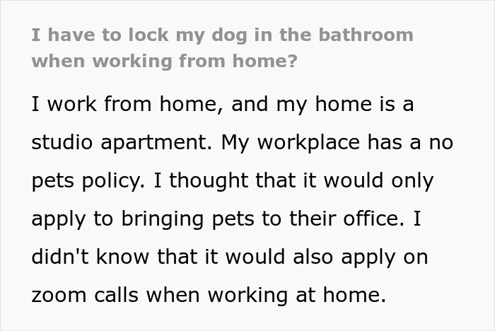 “My Dog Was Simply Sitting”: Worker Maliciously Complies With No-Dogs Home Office Policy