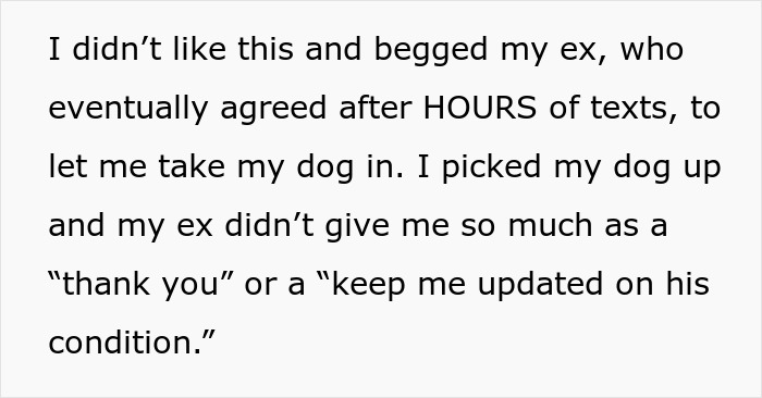 Guy Almost Lets His Kids’ Dog Die Out Of Carelessness, Clueless Why The Kids Suddenly Hate Him 