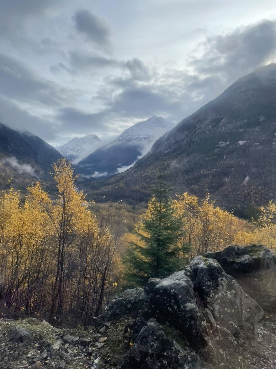 The View From My Train Window White Pass Railway Skagway Alaska