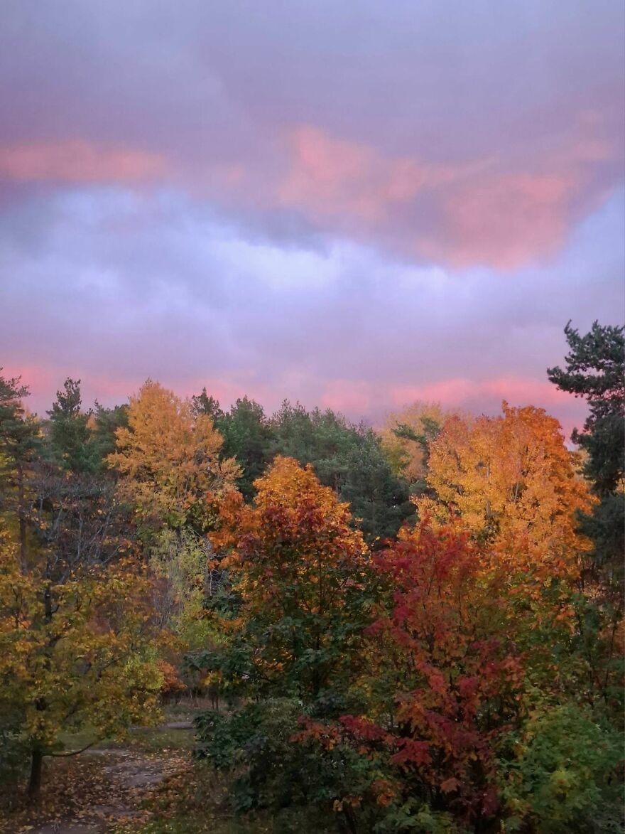 View To Central Park From My Living Room Window In Helsinki, Finland, A Few Minutes Ago. It Is Getting Dark Fast, But The Colors Of The Sky And Trees Were So Beautiful For A While Before That