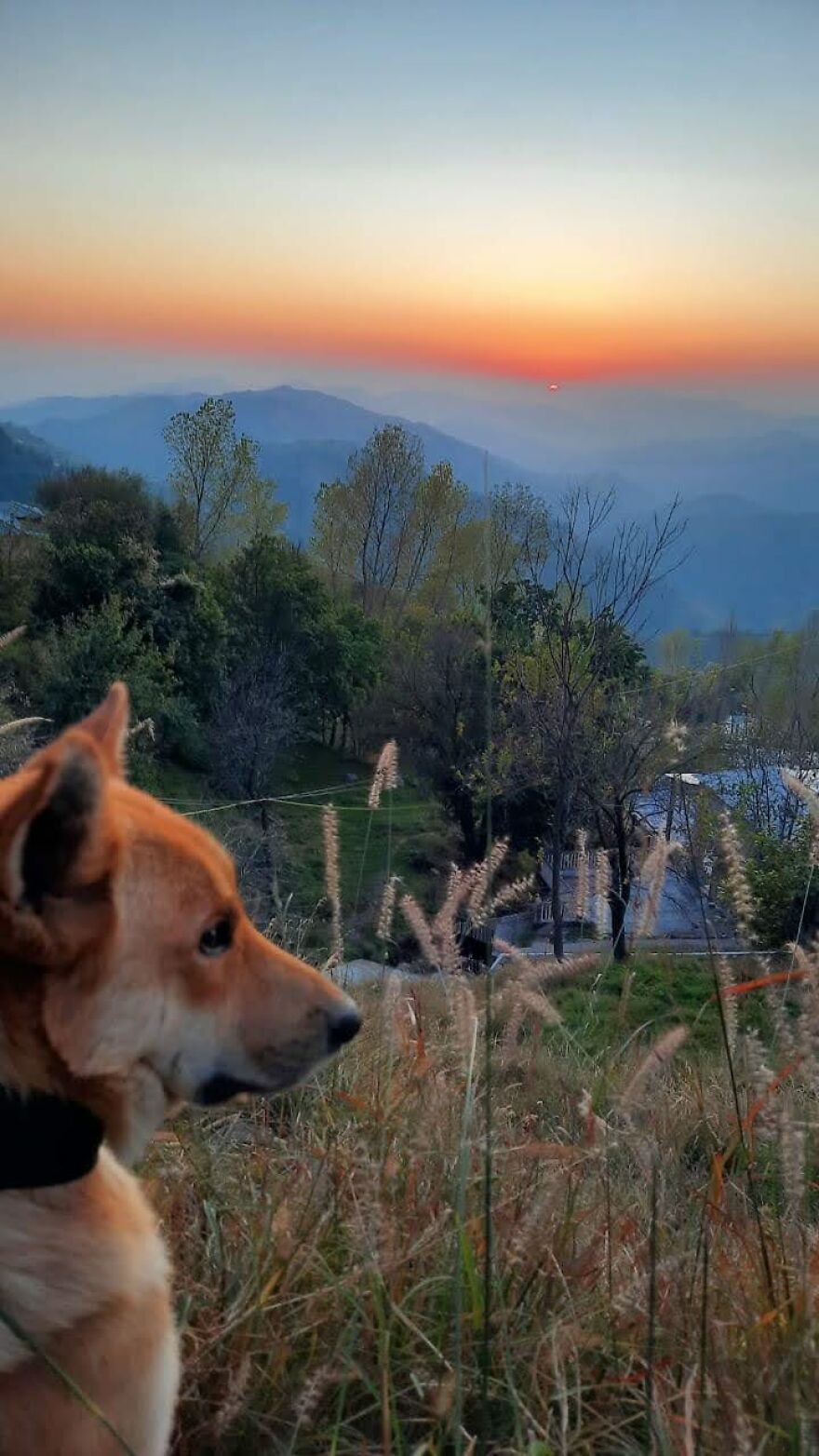 Backyard View Murree, Pakistan