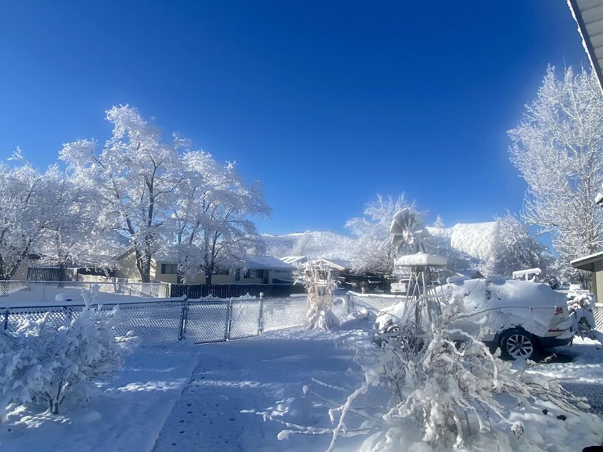 From My Front Window. March 30, Reno, Nevada, U.s.a., Where We Can Have 4 Seasons..in 1 Day! I Guess No Yard Work Today