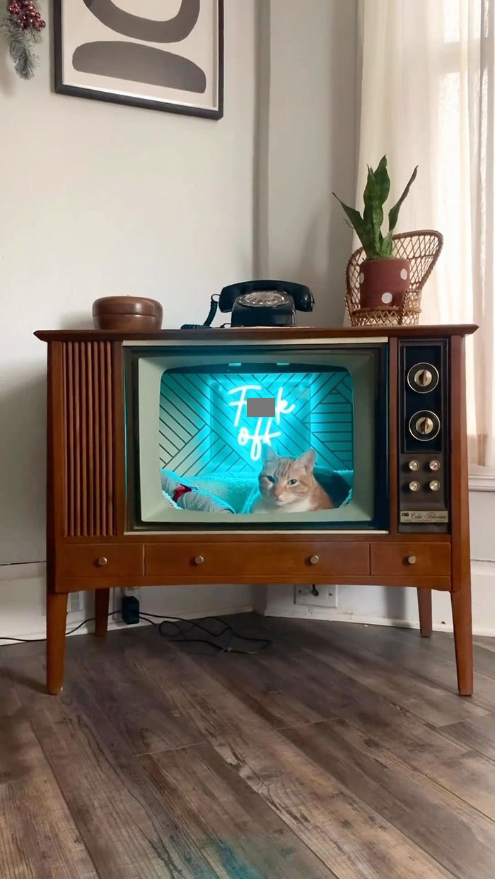 The Face Said “Read The Sign”. This Is An Awesome DIY Cat Bed