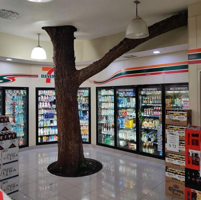 This 7-Eleven In Monterrey, Mexico Has A Tree Growing Through It