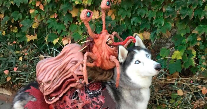 50 Times Owners Took Halloween Costumes For Their Pets Seriously And Did Not Disappoint (New Pics)