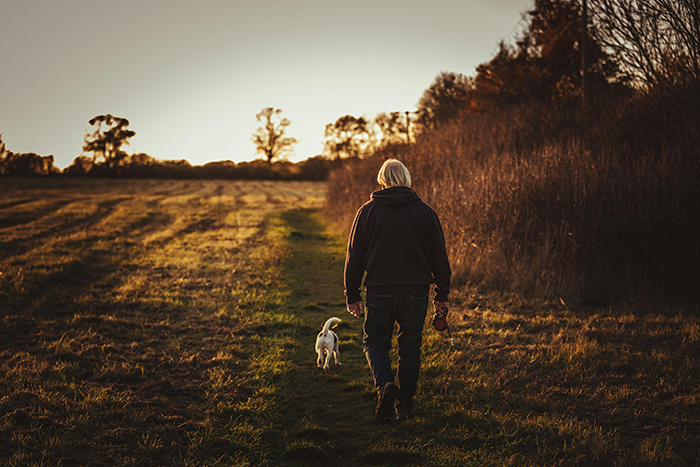 A man walking a dog along a field path during sunset.