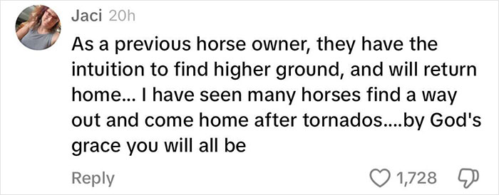 Viral Couple Who Didn’t Evacuate Amid Hurricane Milton Brings Donkey Into Their Home