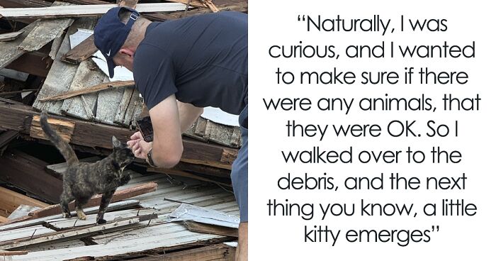 Cat Gets Caught Up In Destruction Of A Building During The Hurricane, Emerges Like Nothing Happened