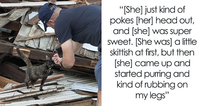 Reporter Arrives To Cover Hurricane Milton’s Damage, Gets Greeted By A Cat Emerging From The Rubble