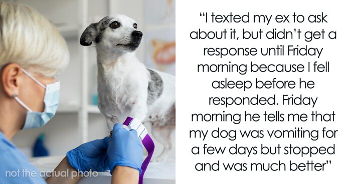 Man Would Rather Let Sick Dog Pass Away Than Give Up Evening With GF, His Kids Get Mad At Him